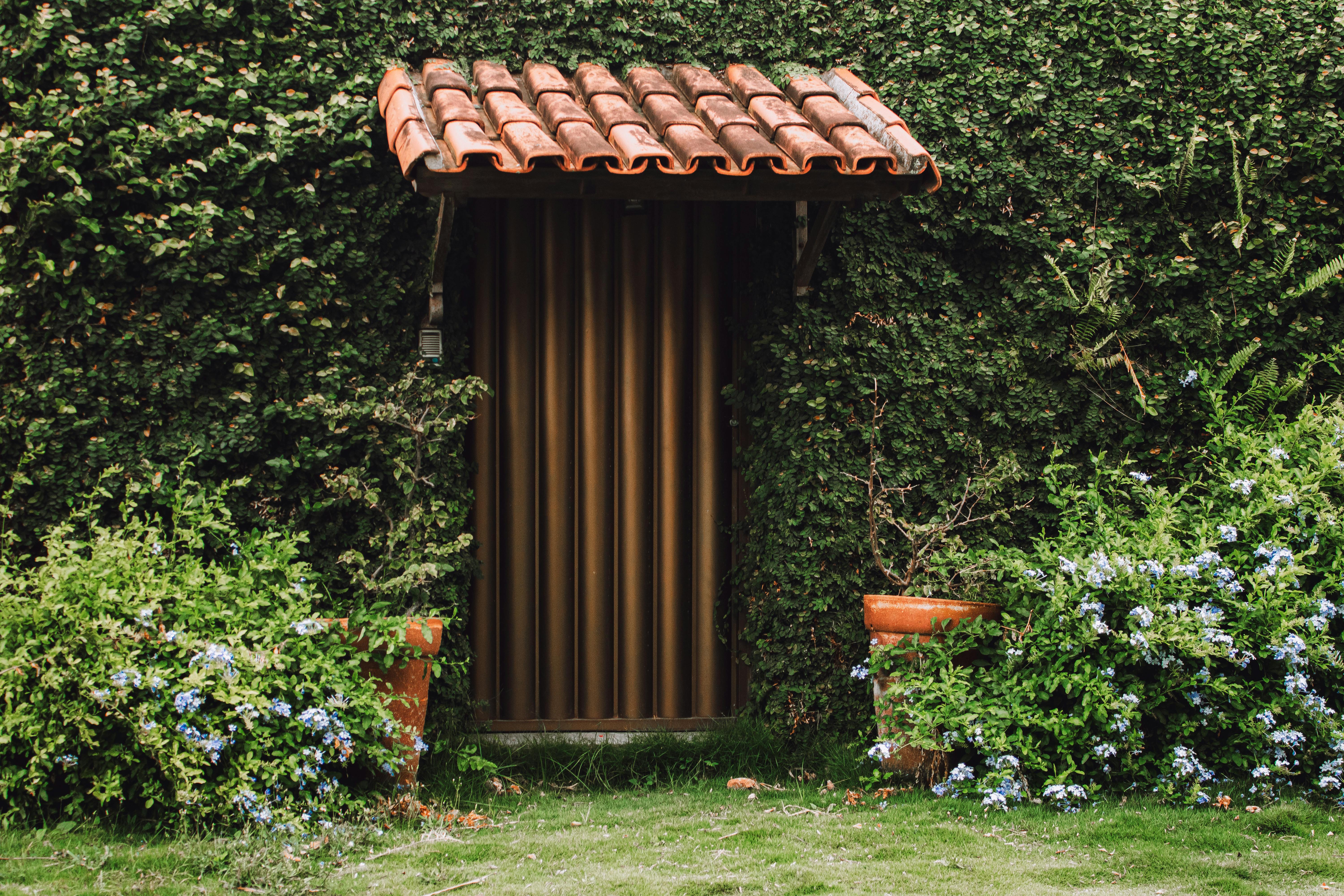 Green exterior of a house surrounded by plants
