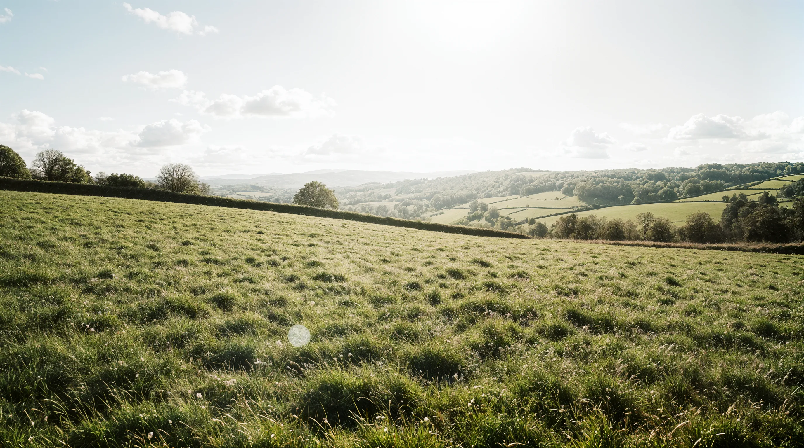 SwapSpace hero background